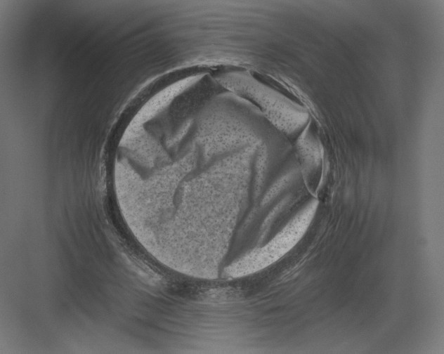 X0000082170584200702092246