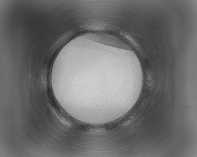 X0000082170586200702092246