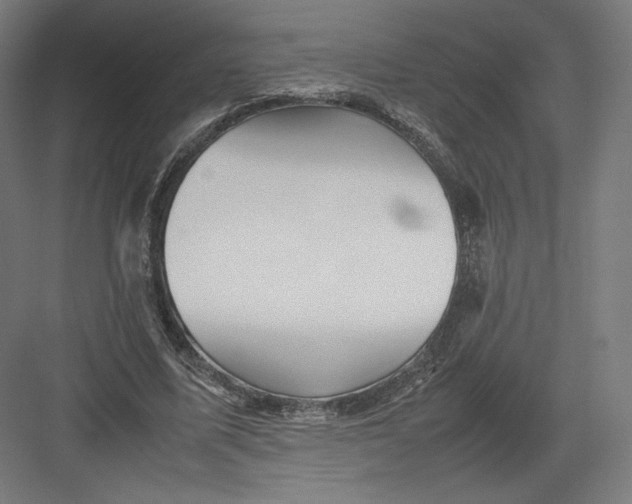 X0000082170587200702092246