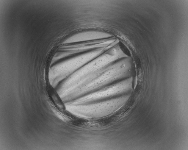 X0000082170589200702092245