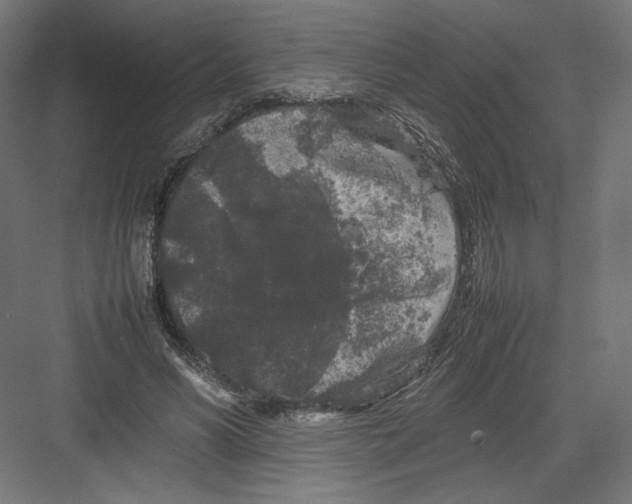 X0000082170590200702092245