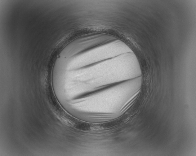 X0000082170591200702092245