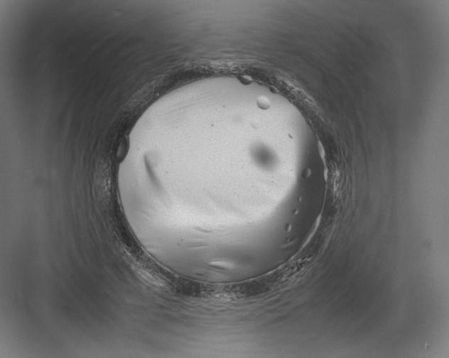 X0000082170593200702092245