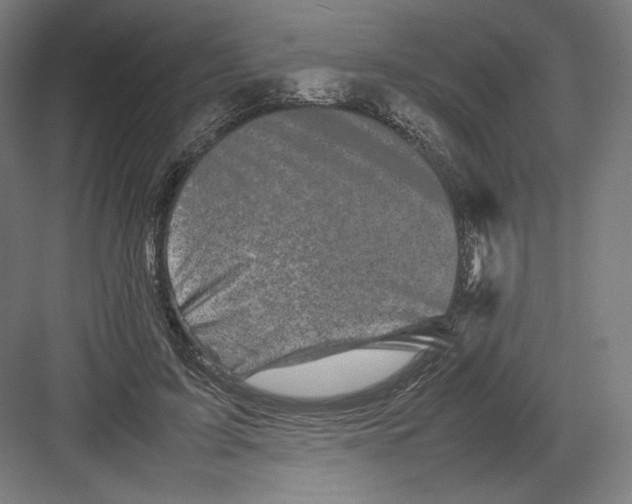 X0000082170595200702092245