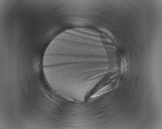 X0000082170596200702092245