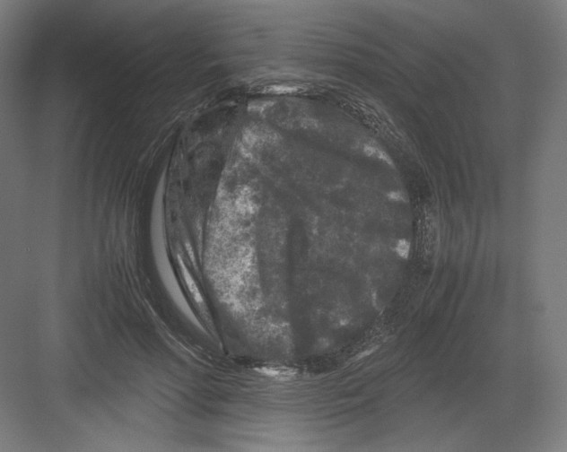 X0000082170598200702092245