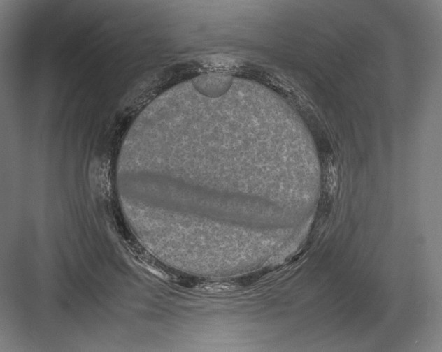 X0000082170599200702092245