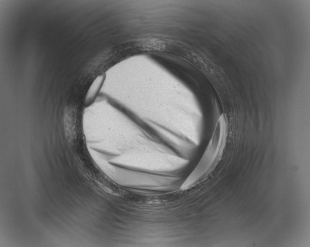 X0000082170600200702092245