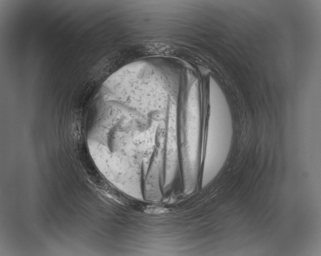 X0000082170602200702092245