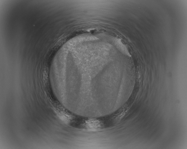 X0000082170603200702092245