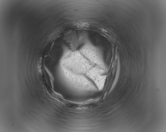 X0000082170604200702092245