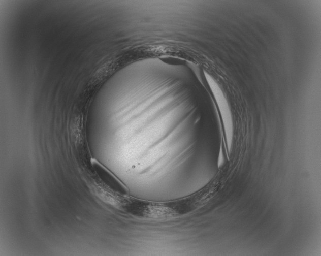 X0000082170605200702092245