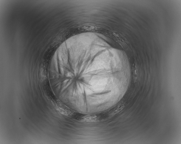 X0000082170606200702092245