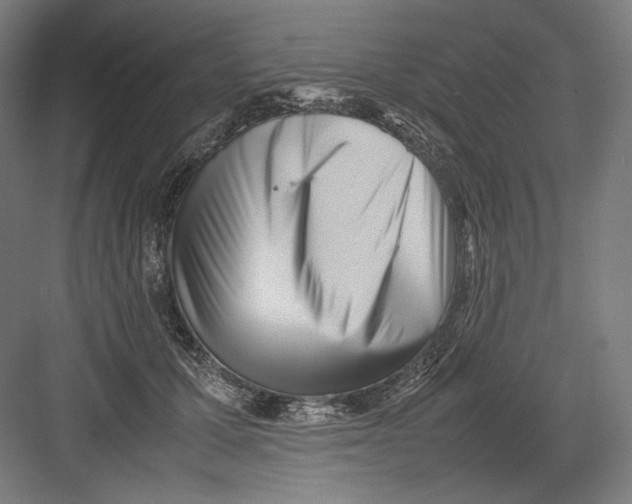 X0000082170607200702092245