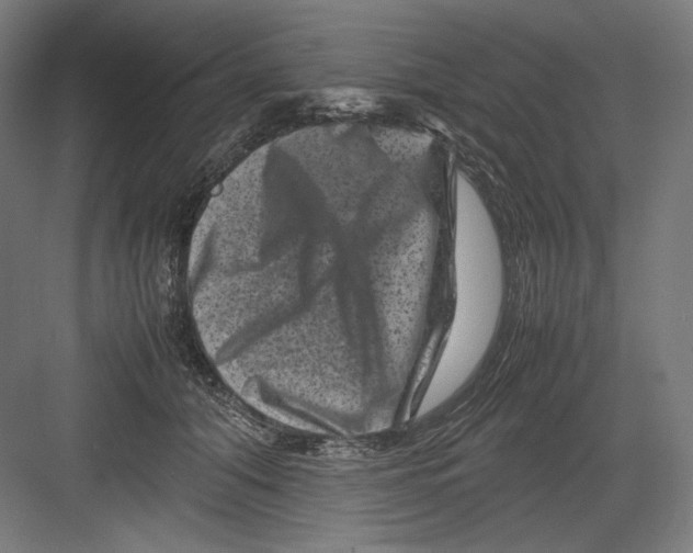 X0000082170608200702092245