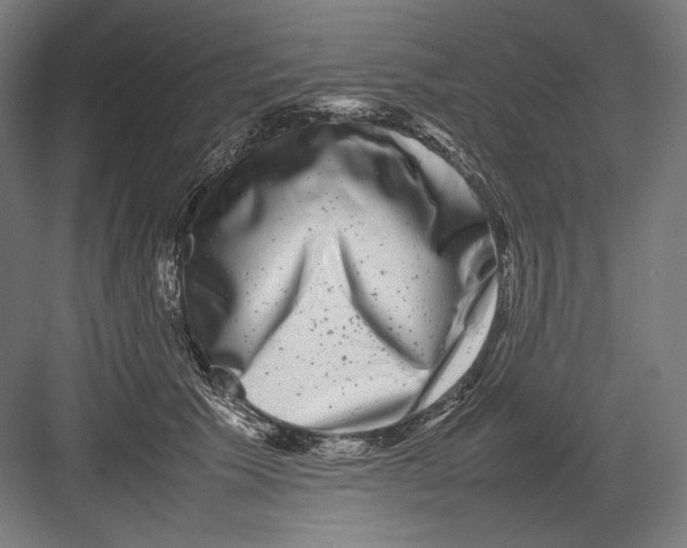 X0000082170609200702092245