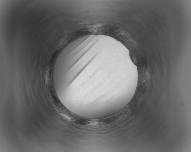 X0000082170611200702092245