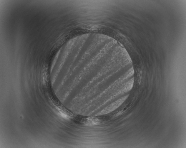 X0000082170612200702092245