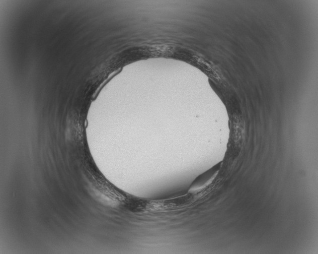 X0000082170613200702092245