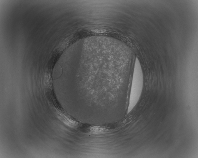 X0000082170614200702092245