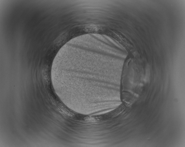 X0000082170616200702092245