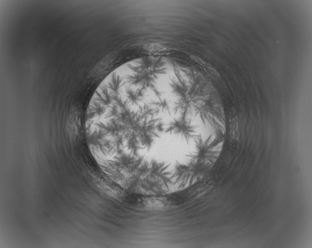 X0000082170618200702092245