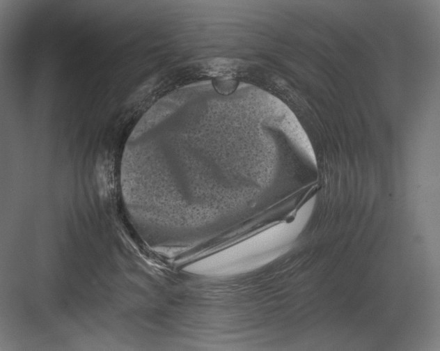 X0000082170620200702092245