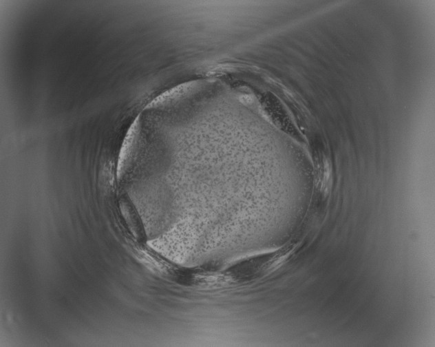 X0000082170621200702092245