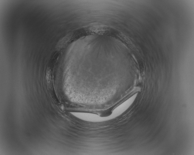 X0000082170623200702092245