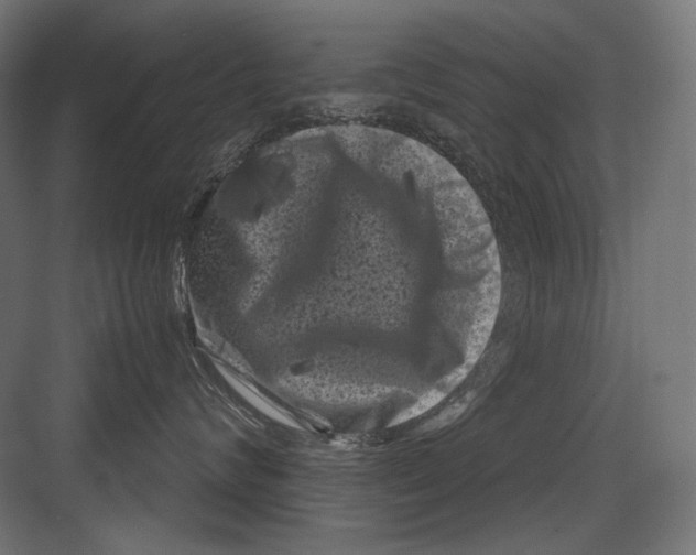 X0000082170624200702092245