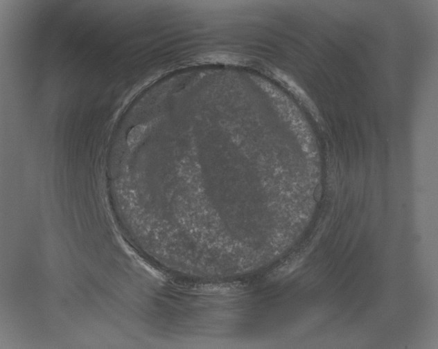 X0000082170625200702092244