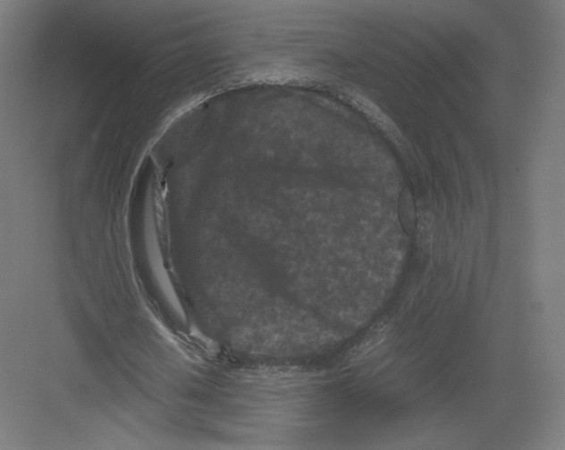 X0000082170626200702092244