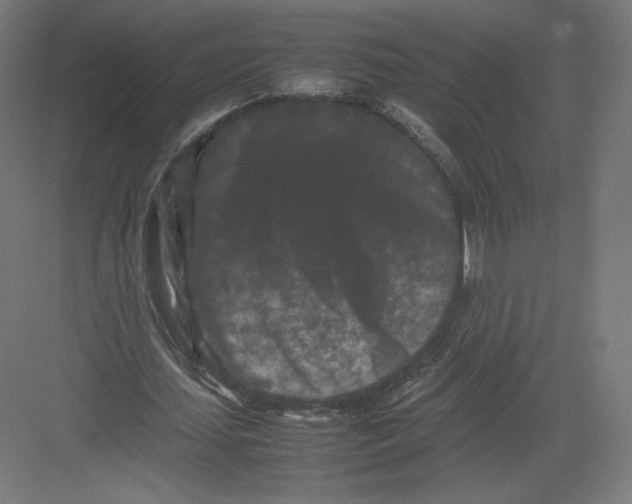 X0000082170627200702092244