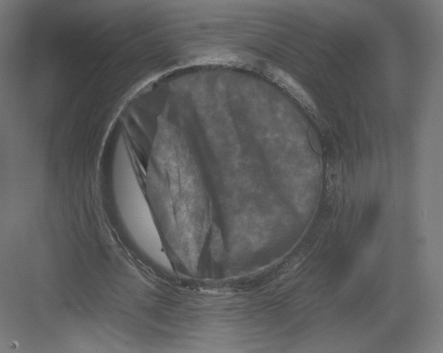 X0000082170628200702092244