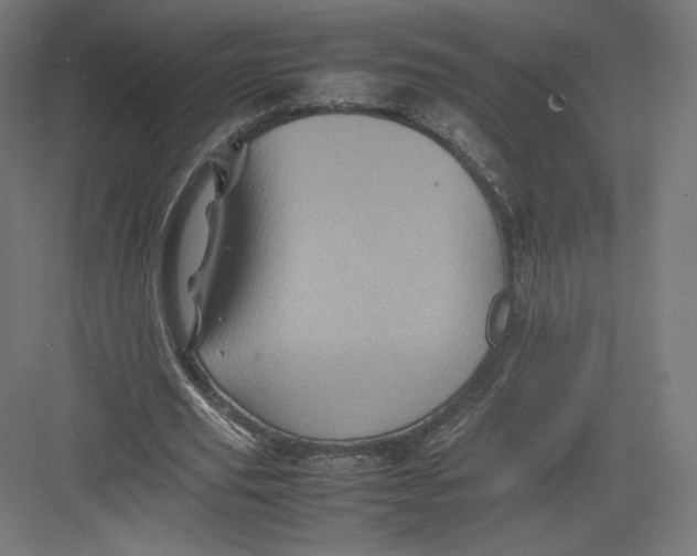 X0000082170629200702092244