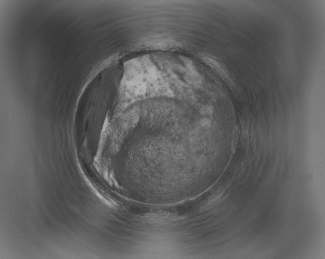 X0000082170630200702092244