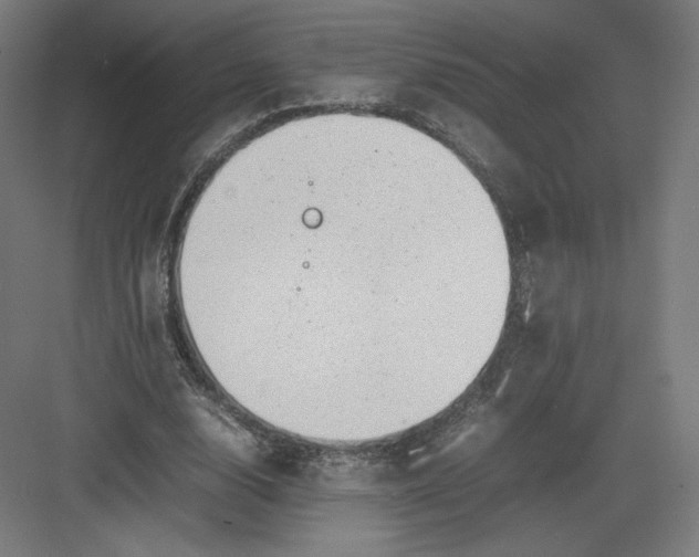 X0000082170632200702092244