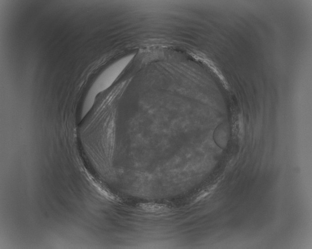 X0000082170633200702092244