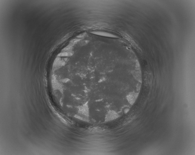 X0000082170634200702092244