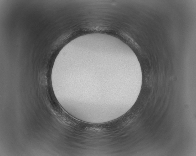 X0000082170635200702092244