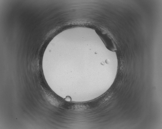 X0000082170636200702092244