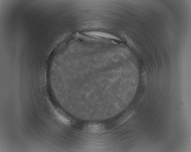 X0000082170638200702092244