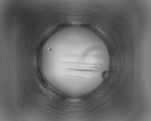 X0000082170639200702092244