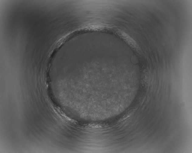 X0000082170640200702092244