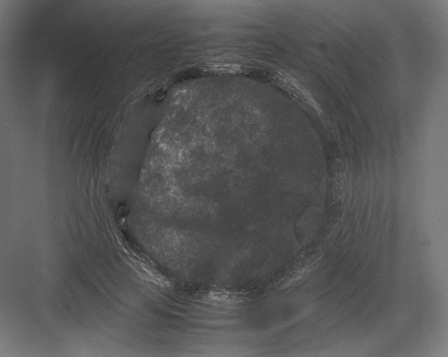 X0000082170641200702092244