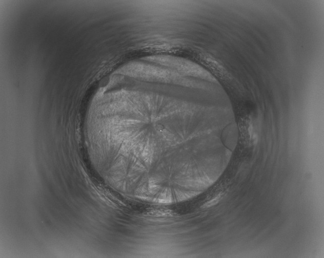 X0000082170642200702092244