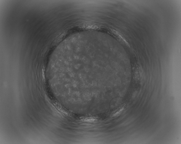 X0000082170643200702092244