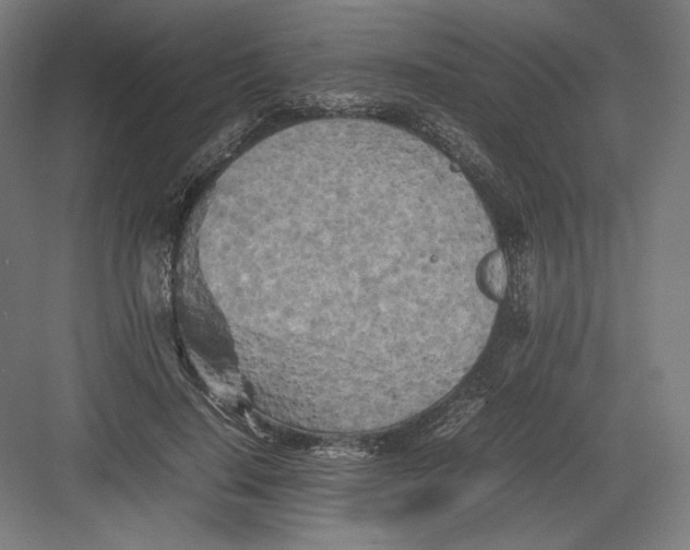 X0000082170644200702092244