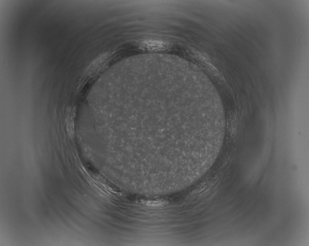 X0000082170645200702092244