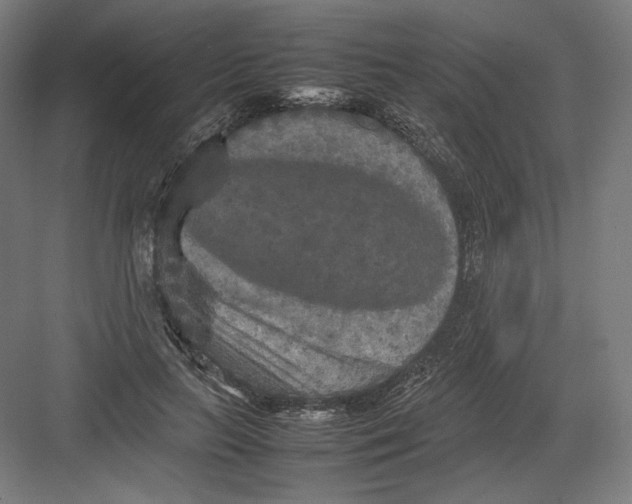 X0000082170647200702092244